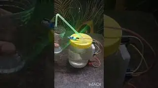 automatic water dispenser by IR sensor school project #electric #project #electrotech