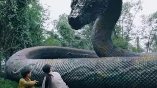 Snake 3 (Snake vs. Dinosaur) A BOY BECOMES FRIENDS WITH A HUGE SNAKE | Summary Plus