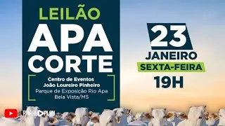 LEILÃO APA CORTE - BELA VISTA/MS - RURAL PLAY 23/01/2026