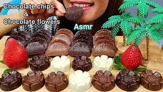 ASMR CHOCOLATE POTATO CHIPS & CHOCOLATE FLOWERS(WAFER) Mukbang 먹방 Eating Sounds