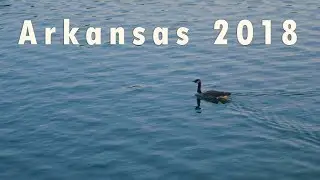 Arkansas 2018