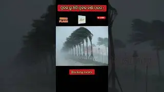 odisha cyclone update/odisha rain update/today morning news/odia news/odisha news/news/rain news
