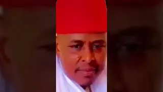 Check Bapullo Kane Diallo 