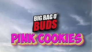 Big Bag O'Buds Pink Cookies Review!