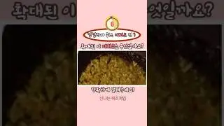 쩝쩝박사 Dessert Quiz 🍰 | 확대사진 보고 디저트 맞히기 #shorts