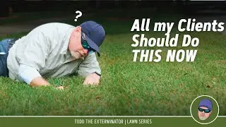Does St. Augustine Grass THRIVE in WET Areas of Your Lawn?
