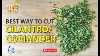 Coriander Cutting | Cilantro Cutting | Tips of Chef