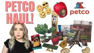 PETCO HAUL! | MY FIRST TIME SHOPPING AT PETCO