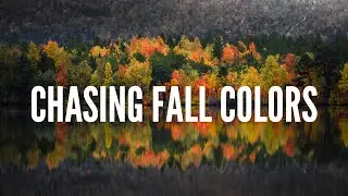 Chasing fall colors in Finland (& Senja)
