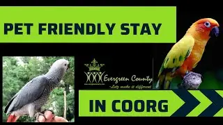 We are a Pet Friendly Stay in Coorg