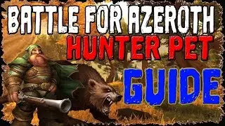 Battle for Azeroth Hunter Pets