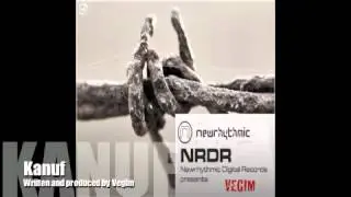 Vegim - Knauf [ Newrhythmic Records ]