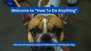 10 Essential Steps To Master Dog Training And Have A Happy, Obedient Pet