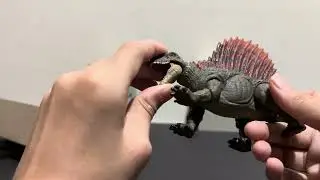 Opening the Hammond collection Dimetrodon!