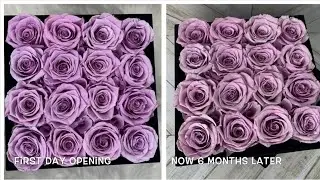 6 MONTHS UPDATE REVIEW - ROSE FOREVER New York Preserved Roses