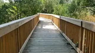Walking Timelapse - Trans Richmond Trail - Richmond Hill, Ontario - August 14, 2024