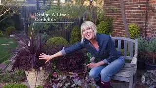 Create Your Own Purple Plant Container Garden Trio with Linda Vater and Southern Living