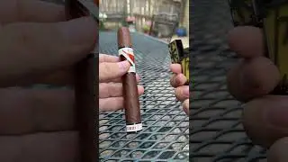 CAO- Vision Limited Edition 2022 (toro 6x52) #cigars #generalcigarco