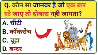 GK STUDY ||GK QUESTION AND ANSWER|| GK QUIZ||GK SHORTS|| GK EASY ||QUESTION EASY ANSWER