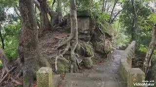 汐止拱北殿楓红