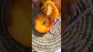 Kaki, or Japanese persimmon ASMR #asmr #fruit #kaki #satisfying #fruitrees #persimon