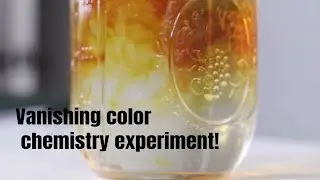 Vanishing Color Science Experiment (just like magic)