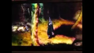 Twilight Princess AMV Iris