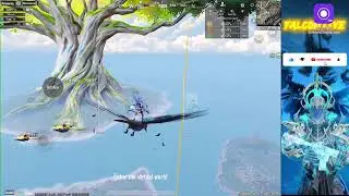 Falcon YT Live Stream