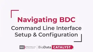 Setup and Configuration of the Command Line Interface