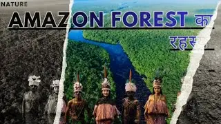  🌳🌳Amzon Forest video🌲🏝️!  Amazon jungle Amazon Jungle ke Andar Kya Chhupa Hai अमेजन के रहस्य
