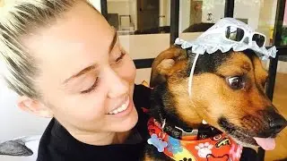 Miley Cyrus - Funny moments (Best 2016★)
