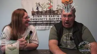 Introduction to Down to Earth Community Gardens - Part 1 #practicalgarden