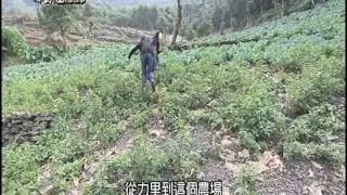 [春日1001個故事] 行動廚房