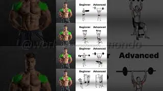 Beginner to Pro Shoulder Workout