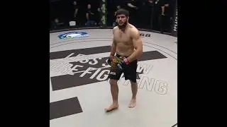 knockout from a UFC fighter   #ufc #knockout #top #wow #mma