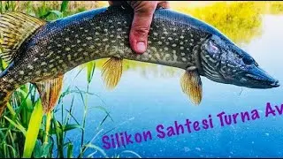 SİLİKON YEM SAHTESİ İLE DEV TURNA BALIĞI VE KALAMA SESİ