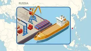 Shipping / 海上承运人 B2B.CASH