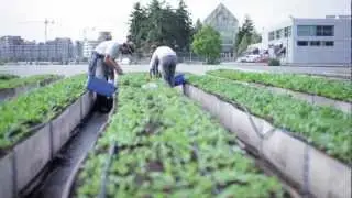 Sole Food Story