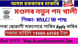 Assam Govt Grade 3 Job// Lot Mandal (মণ্ডল)Recruitment 2022, Apply Hojai & Bajali DC Office Job