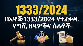 በአዋጅ 1333/2024 የተፈቀዱ የግዥ ዘዴዎችና ስልቶች Procurement Methods and Approaches under Procl No.1333/2024