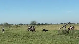 Just ranching