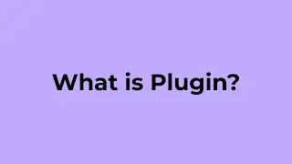 What is Plugin?