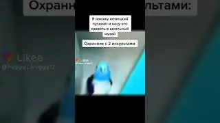 мем