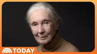 Jane Goodall Dies at 91: How Her Research Changed the World