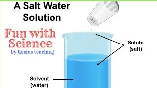 Activity of Solution, Solvent and Solute| Fun with Science|   EVS | Science | By Genius Teaching