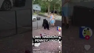 😦Nobody Messes With Mike😮 GET OUT!!! #Bear #Attack  #Viral #Short  #Trending  #Videos #Youtube #Beer