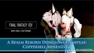 Final Fantasy XIV: A Realm Reborn - Copperbell Mines Dungeon Gameplay [No Commentary]