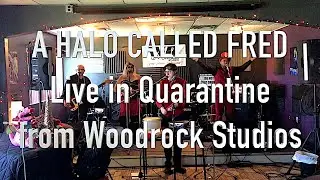 A Halo Called Fred LIVE in Quarantine from Woodrock Studios