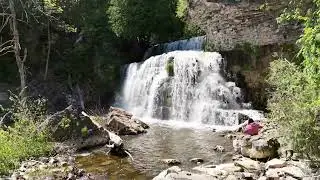 Jones Falls & Pottawatomi Conservation Area