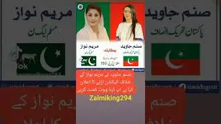 election survey 2024 | #youtubeshorts #maryamnawaz #pti #shorts